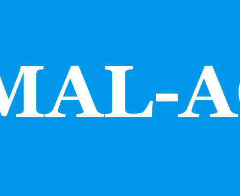 AMAL-ACI Kultura eta Integrazio Elkartea