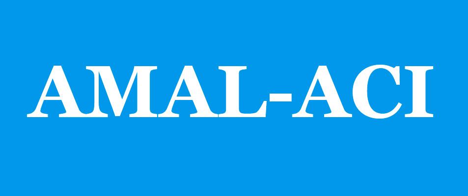 AMAL-ACI Kultura eta Integrazio Elkartea