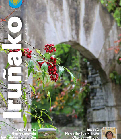 Portada Iruñako 103
