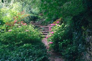 Jardín Botánico de Santa Catalina - Interior