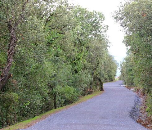 Vía verde del Zadorra. Tramo Víllodas-Nanclares