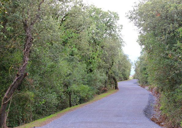Vía verde del Zadorra. Tramo Víllodas-Nanclares